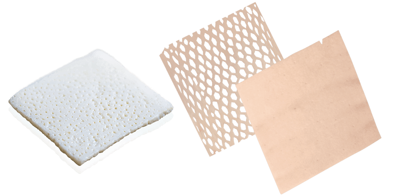 Allograft Dermis