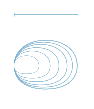 fit ballon diagram