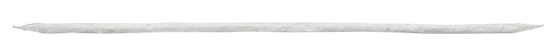 BioBrace Reinforced Bioinductive Implant, 5 mm x 250 mm
