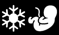 Symbole für Krebs und Fötus